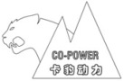 Wuxi Copower Technology Co., Ltd.