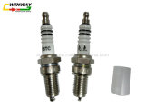 Ww-8813 Motorcycle Part, Motorcycle Accessories, Plug Spark,