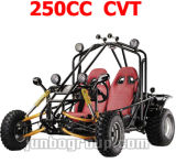 250CC Go Kart with CVT System Buggy Full Automatic With Reverse Gear (DR670S)
