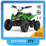 Electric ATV Quad Bike 36V 500watt with 6