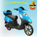Cheap Electric Scooter (TDR038Z-428)