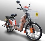 E-Bike (TDL24Z)