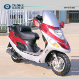 Scooter (TH150T-8Ba) 
