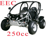 EEC 250CC Renli Go Cart (RLG2-250DZ)
