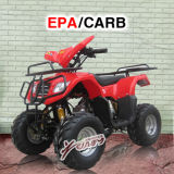 50-110cc New Model EPA ATV (YL816A)