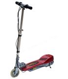 Electric Surfing Scooter with 100W Motor (ES001)