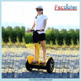 Self Balancing Electric Mobility Scooter with CE/FCC/RoHS