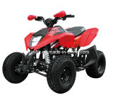 110/125cc 4-Stroke off-Road Vehicle ATV (FXATV-002A-110FZ)