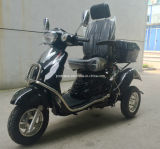 High Back Seat for 110cc Handicapped Gasoline Scooter (DTR-5B)