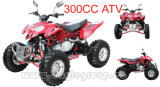 300CC Sport ATV (YF-ATV300ST-1)