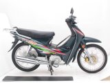 110cc Cheap Motorcycle for Thailand Honda (HD110-6T)