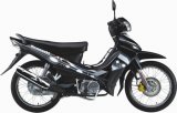 EC Motorcycle CUB (HK110-SPARK)