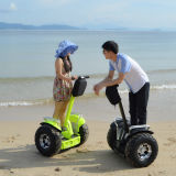 Two-Wheel Self-Balancing Electric Chariot off Road Scooter