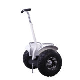Two Wheels Smart Standing Electric Scooter with CE/RoHS/FCC