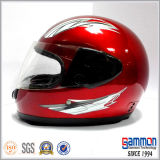 Hot Sale Export Motorcycle Helmet (FL104)