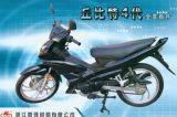 Motorcycle Mode (ZH110-8Suzuki)