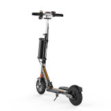 Matte Silver and Two Wheel Standing Foldable Electric Scooter