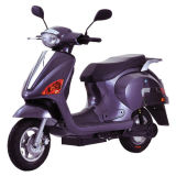 Eec Electric Scooter (XFS-LY3)