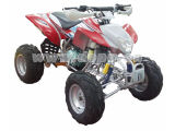 200cc EEC ATV / Quad (DP-ATV200(EEC)-J)