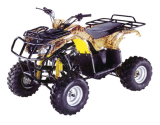 ATV/Quad (WJ200ST-4)