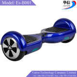 Two Wheel Scooter Electric Scooter, Self Balancing Electric Scooter Es-B001