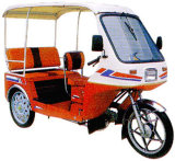Yangtze Tricycle -- YZ100X