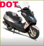 DOT &EPA Motorcycles 250cc (DOT250T)