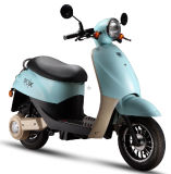Electric Motorbikes Electric Scooter (LT2000-2)