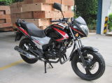 Dayun Motorcycle Boxer Dy150-26