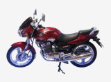 Motorcycle (DY250-2)