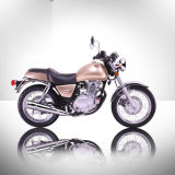 Hot Sale Sporting Motorcycle 250cc Gnmotorcycle