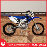 mxr 250x 250cc Motorbike