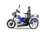 Handicapped Tricycle Dtr-1