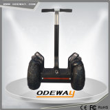 Green Power CE Approved Hot Sale 2 Wheel Self Balance Scooter