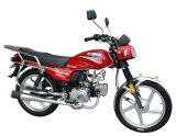 Motorcycle (GW100-5)