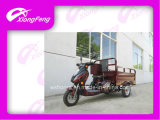 110cc Handicapped Tricycle/Disabled Scooter, Disabled People Cargo Tricycle