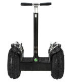 Entertainment and Instead of Walking Electric Self-Balancing Scooter