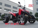 2009 New Model 250cc ATV (WJ250ST-6B)