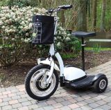 Zappy Electric Tricycle Scooter/Electric Patrol Scooter with 500W 48V/12ah