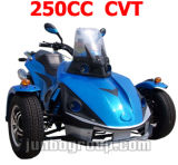 Tricycle EEC 250CC ATV, EEC Quad 250CC, EEC ATV (DR789)