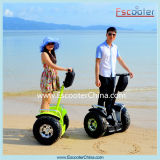 Shenzhen Factory 3-5h Charging Time Two Wheel Electric Mobility Scooter, Ecorider