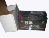 Factory Outlet! Motorcycle Battery Yt7b-4