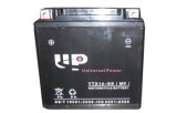 Sealed Maintenance Free 12V 24ah Motor Battery