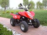 300cc ATV (SPV-ATV011)