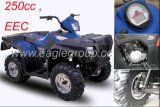 250cc Shaft Drive ATV with EEC (YG250E-A3)