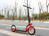 Factory New Two Wheel Self Balancing E Scooter (ES-1201)