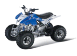 110CC ATV (GBTA52-110)
