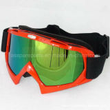 Hot Sale Ski Goggles/Eyewear for Motorcycle Riders (AG006)