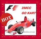 250CC Racing Kart (MC-477) 
