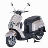 Scooter (TH50QT-ZN36)